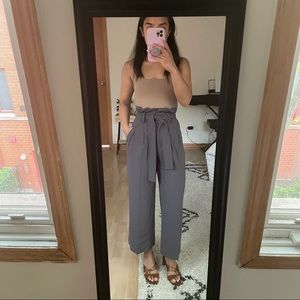 Aritzia Babaton Paper Bag Pant